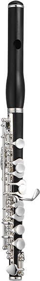 1100 Series JPC1100E Piccolo